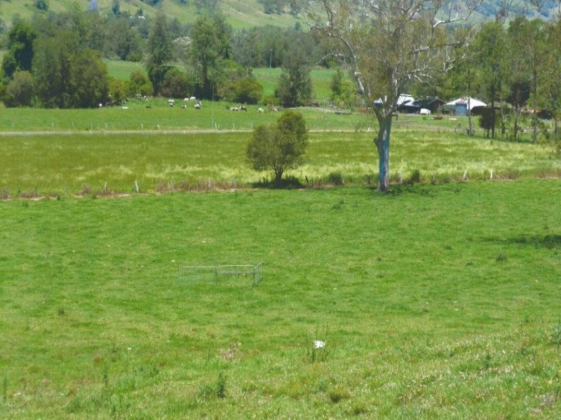 219 Gradys Creek Road, Kyogle NSW 2474