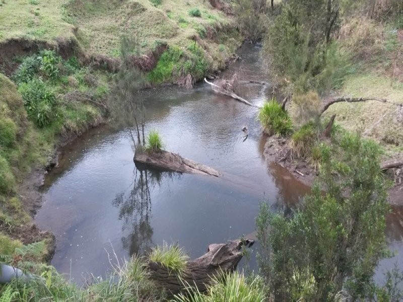 219 Gradys Creek Road, Kyogle NSW 2474