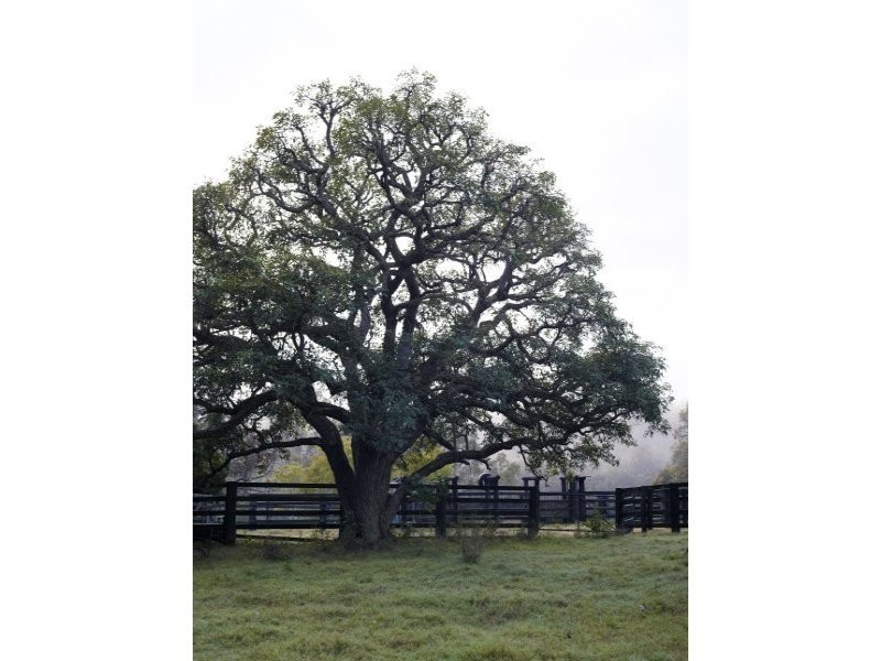 L1 Old Dyraaba Road, Casino NSW 2470