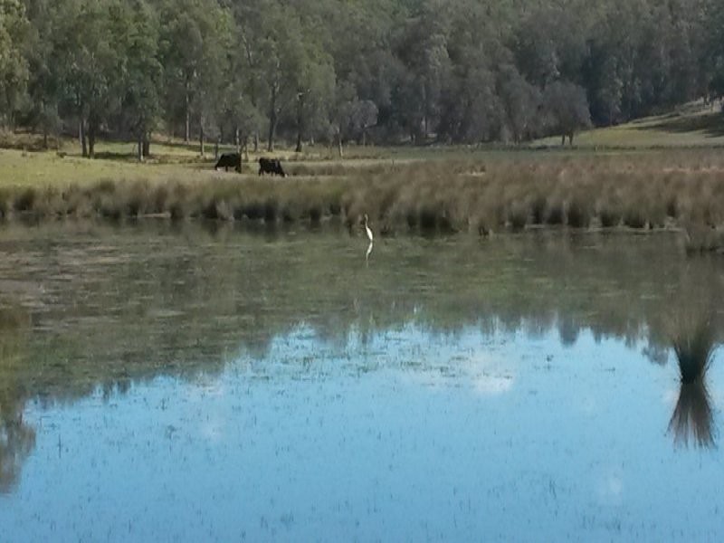 L1 Old Dyraaba Road, Casino NSW 2470