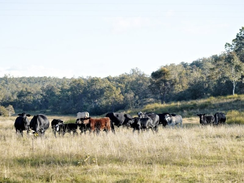 L1 Old Dyraaba Road, Casino NSW 2470