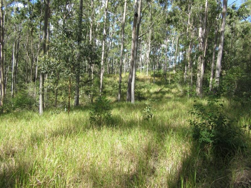 Lot 17 Jenny Lind Lane, Tabulam NSW 2469