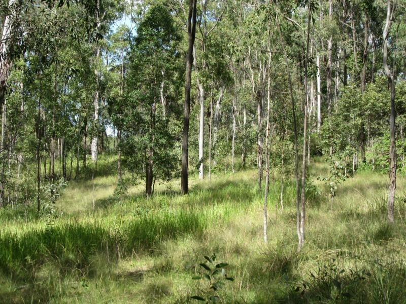 Lot 17 Jenny Lind Lane, Tabulam NSW 2469