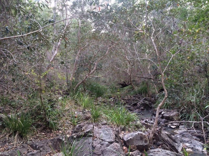 Lot 17 Jenny Lind Lane, Tabulam NSW 2469