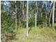 Lot 17 Jenny Lind Lane, Tabulam NSW 2469