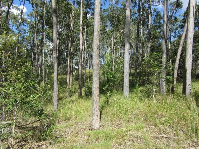 Lot 17 Jenny Lind Lane, Tabulam NSW 2469