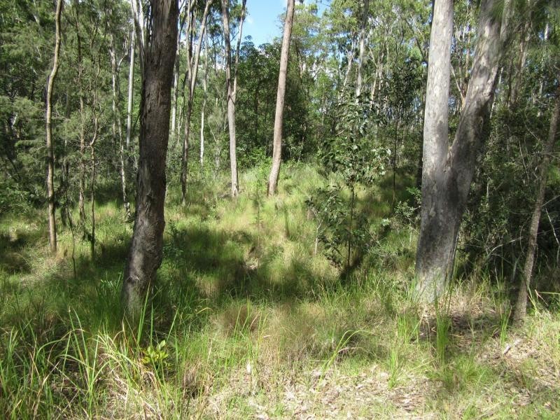 Lot 17 Jenny Lind Lane, Tabulam NSW 2469