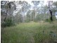 Lot 17 Jenny Lind Lane, Tabulam NSW 2469