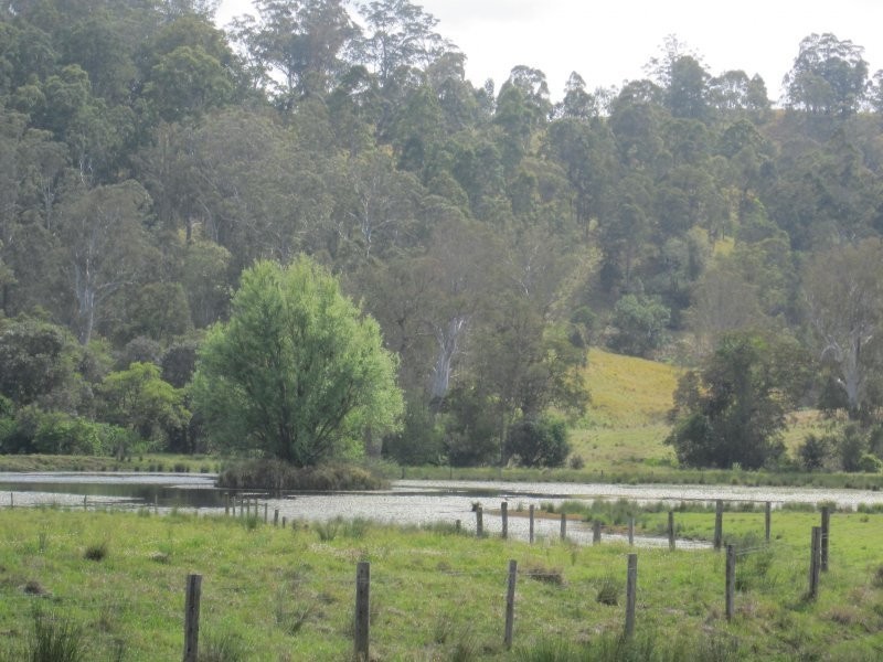 916 Old Lawrence Road, Mallanganee NSW 2469