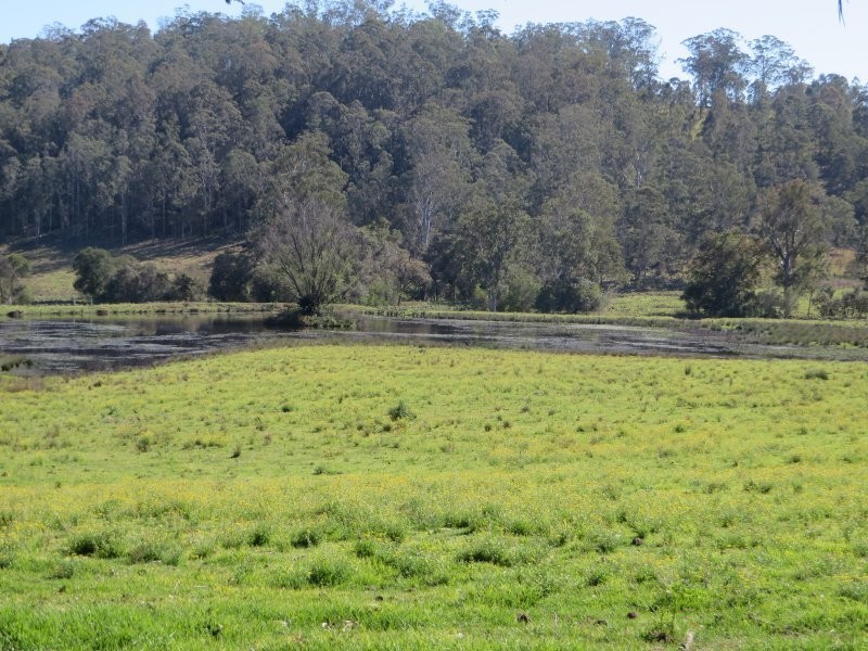 916 Old Lawrence Road, Mallanganee NSW 2469