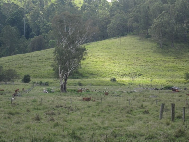 916 Old Lawrence Road, Mallanganee NSW 2469