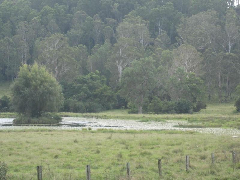 918 Old Lawrence Road, Via CASINO, Mallanganee NSW 2469