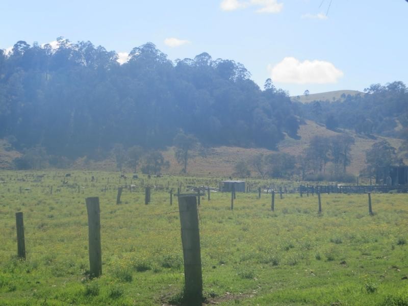 918 Old Lawrence Road, Via CASINO, Mallanganee NSW 2469