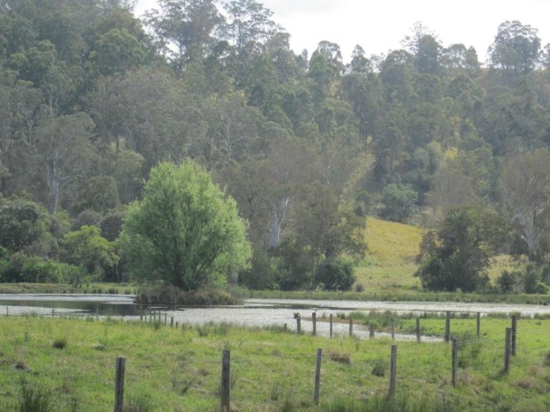 918 Old Lawrence Road, Via CASINO, Mallanganee NSW 2469