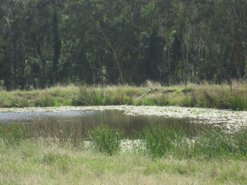 918 Old Lawrence Road, Via CASINO, Mallanganee NSW 2469