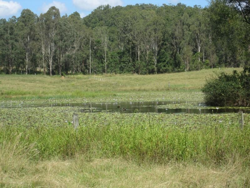 918 Old Lawrence Road, Via CASINO, Mallanganee NSW 2469