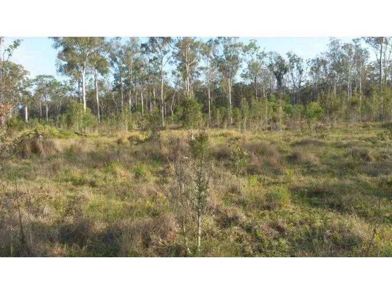 120 Wrench Road, Ellangowan NSW 2470