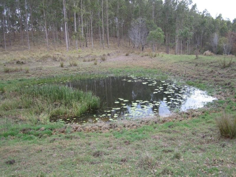 L434a Seery Rd , Rappville, Rappville NSW 2469