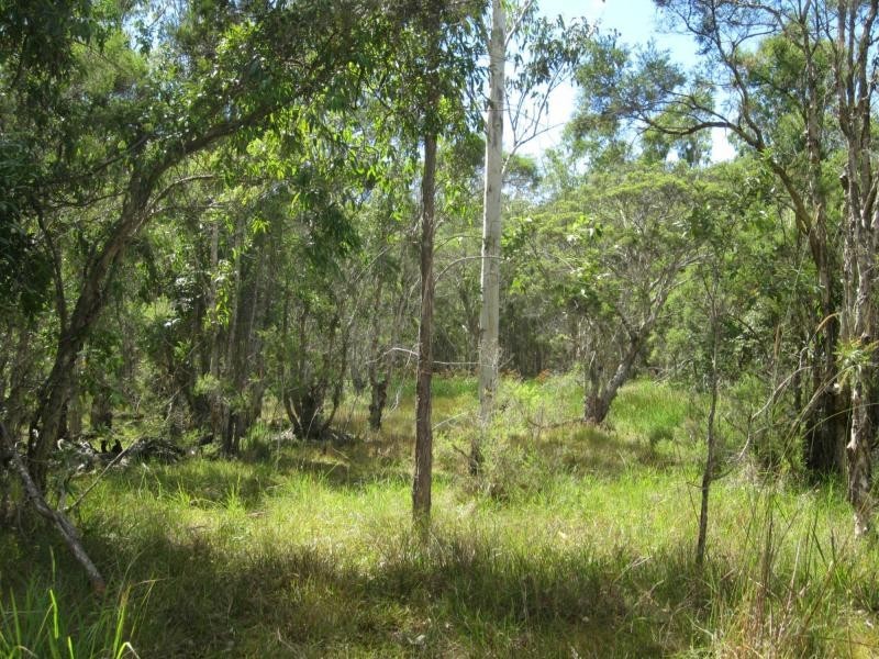 L434a Seery Rd , Rappville, Rappville NSW 2469