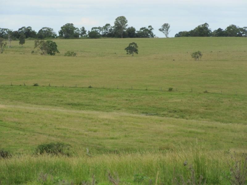 895 Bulmers Road, HOGARTH RANGE, Hogarth Range NSW 2469