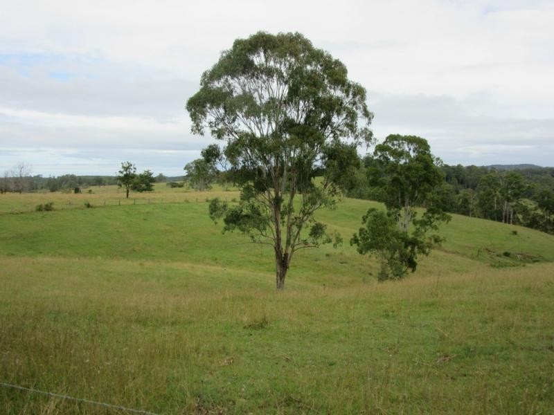 895 Bulmers Road, HOGARTH RANGE, Hogarth Range NSW 2469