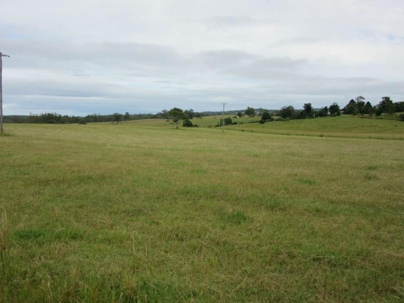 895 Bulmers Road, HOGARTH RANGE, Hogarth Range NSW 2469