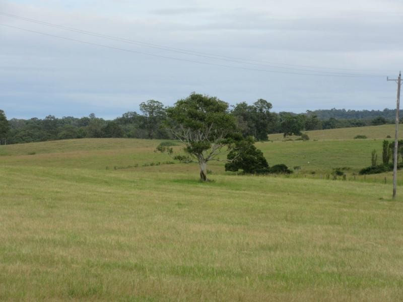 895 Bulmers Road, HOGARTH RANGE, Hogarth Range NSW 2469