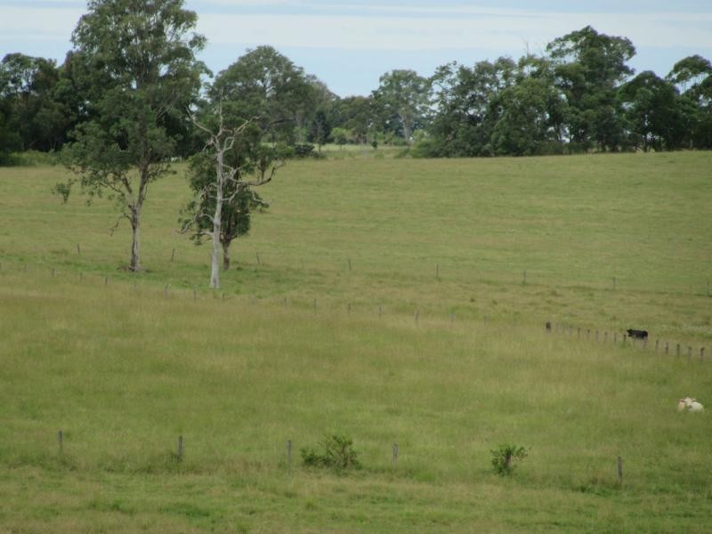 895 Bulmers Road, HOGARTH RANGE, Hogarth Range NSW 2469