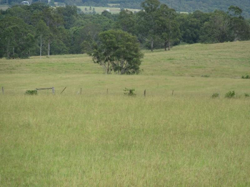 895 Bulmers Road, HOGARTH RANGE, Hogarth Range NSW 2469