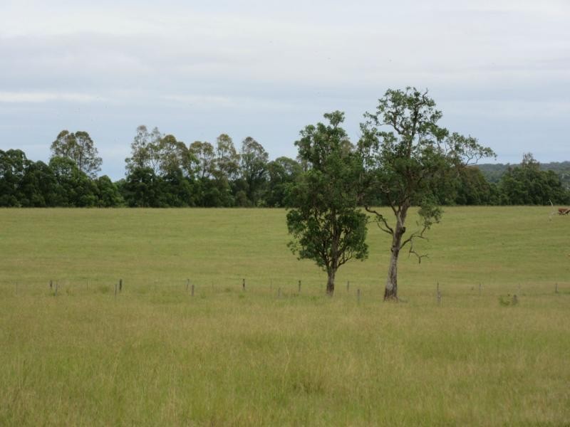 895 Bulmers Road, HOGARTH RANGE, Hogarth Range NSW 2469