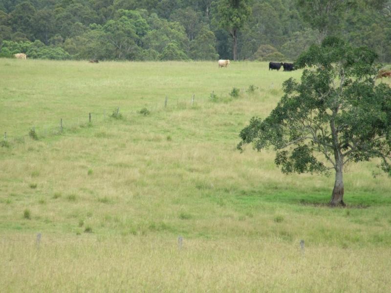 895 Bulmers Road, HOGARTH RANGE, Hogarth Range NSW 2469