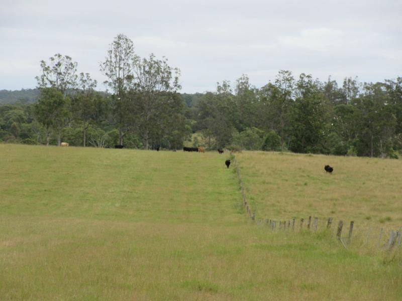 895 Bulmers Road, HOGARTH RANGE, Hogarth Range NSW 2469