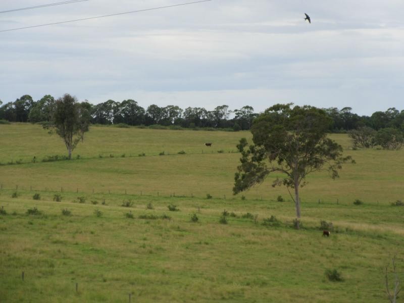 895 Bulmers Road, HOGARTH RANGE, Hogarth Range NSW 2469