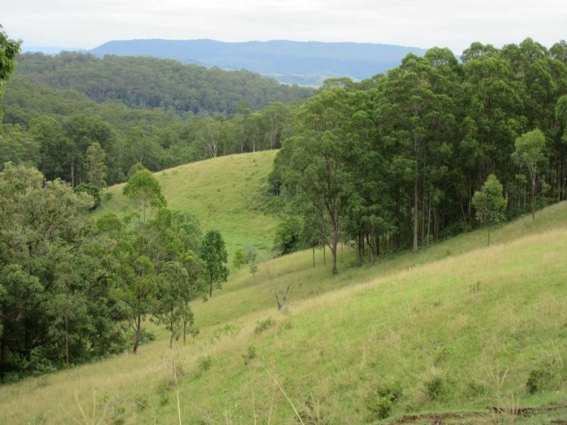 895 Bulmers Road, HOGARTH RANGE, Hogarth Range NSW 2469