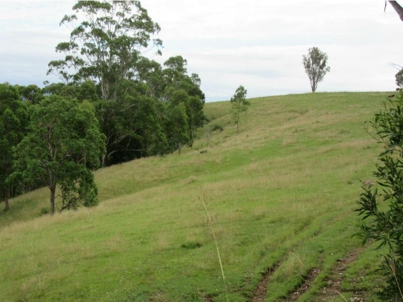 895 Bulmers Road, HOGARTH RANGE, Hogarth Range NSW 2469