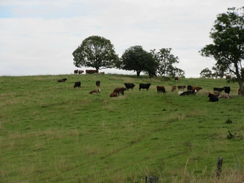 895 Bulmers Road, HOGARTH RANGE, Hogarth Range NSW 2469