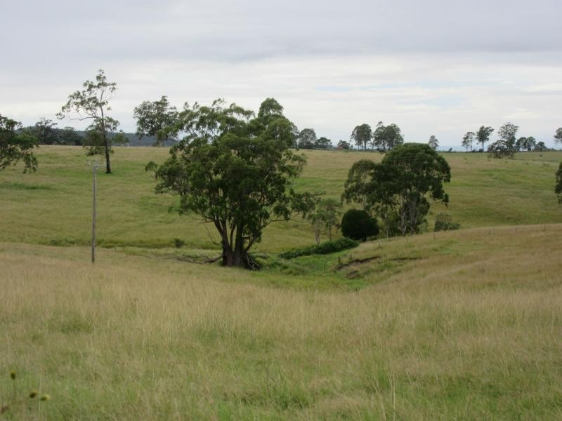 895 Bulmers Road, HOGARTH RANGE, Hogarth Range NSW 2469