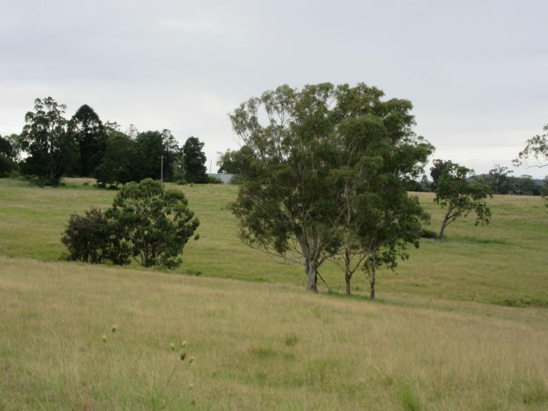 895 Bulmers Road, HOGARTH RANGE, Hogarth Range NSW 2469