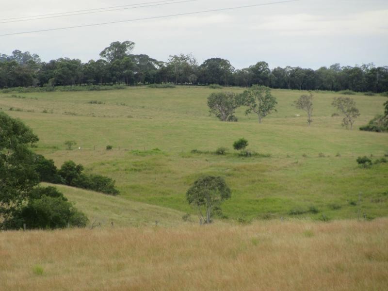 895 Bulmers Road, HOGARTH RANGE, Hogarth Range NSW 2469