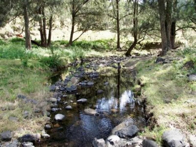 1851 Afterlee Rd , Kyogle, Kyogle NSW 2474