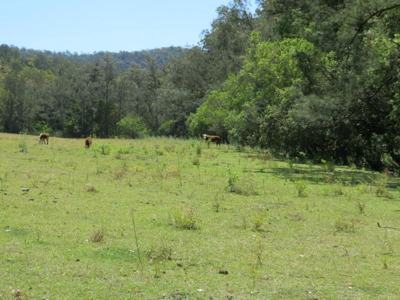 1851 Afterlee Rd , Kyogle, Kyogle NSW 2474
