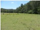 1851 Afterlee Rd , Kyogle, Kyogle NSW 2474