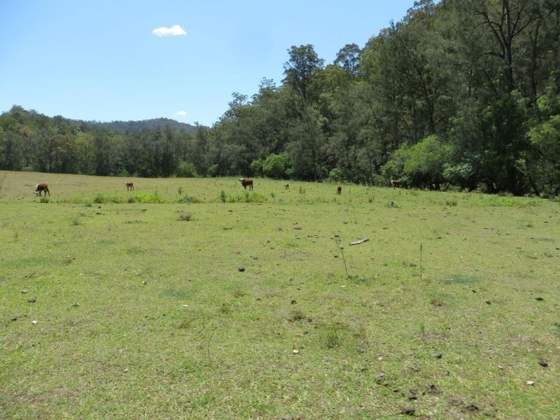 1851 Afterlee Rd , Kyogle, Kyogle NSW 2474