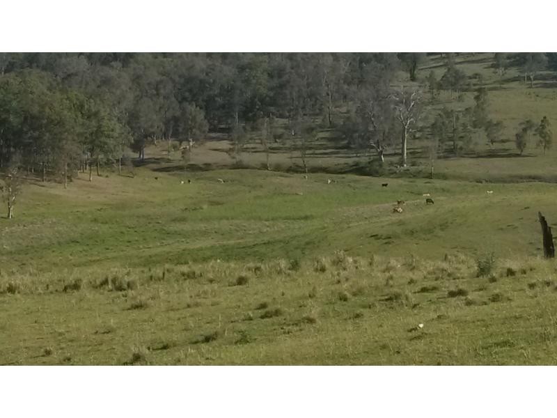 1130 Dyraaba Road, Dyraaba, Casino NSW 2470