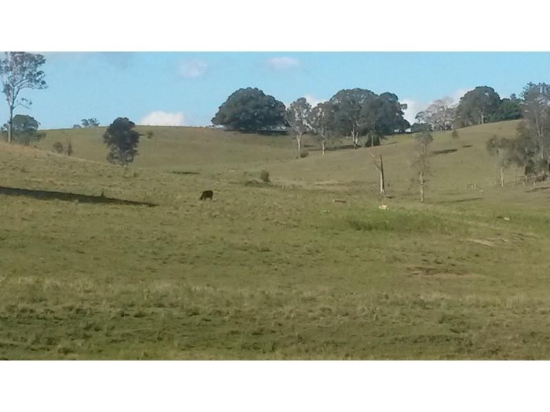 1130 Dyraaba Road, Dyraaba, Casino NSW 2470