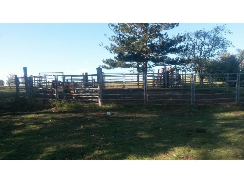 1130 Dyraaba Road, Dyraaba, Casino NSW 2470