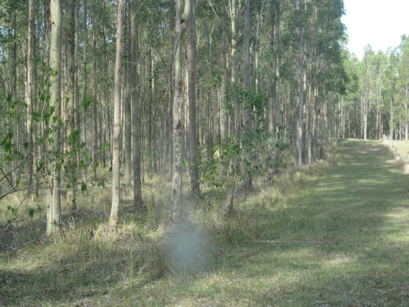 624b Tabulam Rd, Tabulam NSW 2469