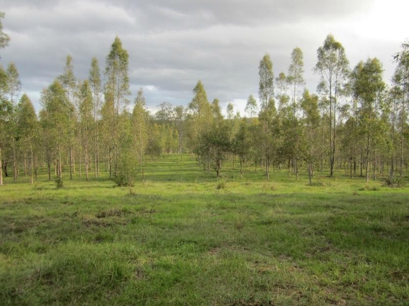 624b Tabulam Rd, Tabulam NSW 2469