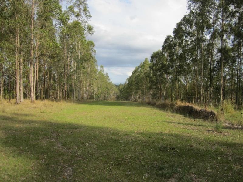 624b Tabulam Rd, Tabulam NSW 2469
