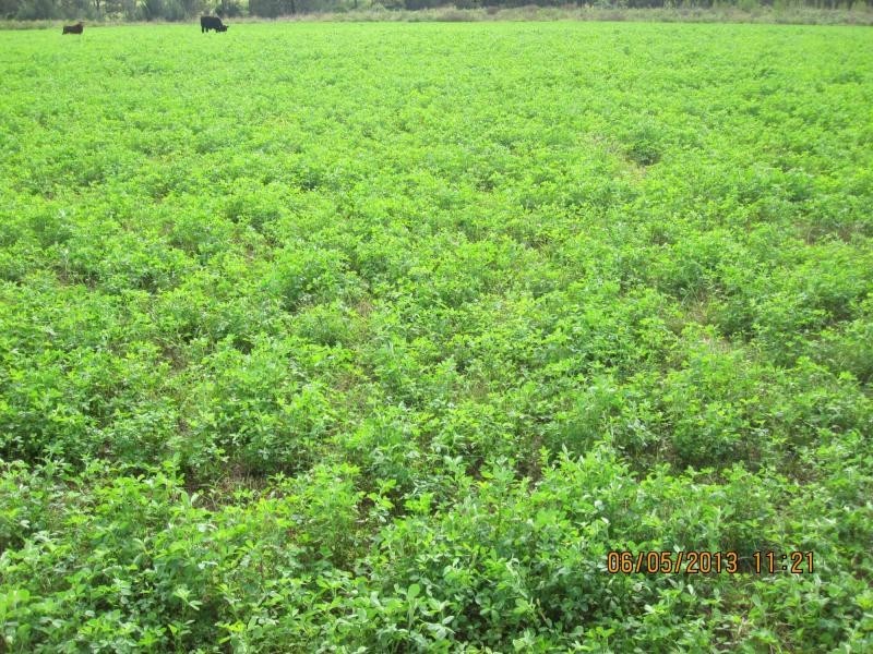 1521 Sextonville Road, Dobies Bight, Casino NSW 2470